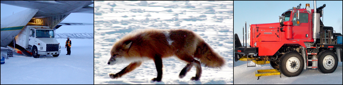 Professional Experience Header