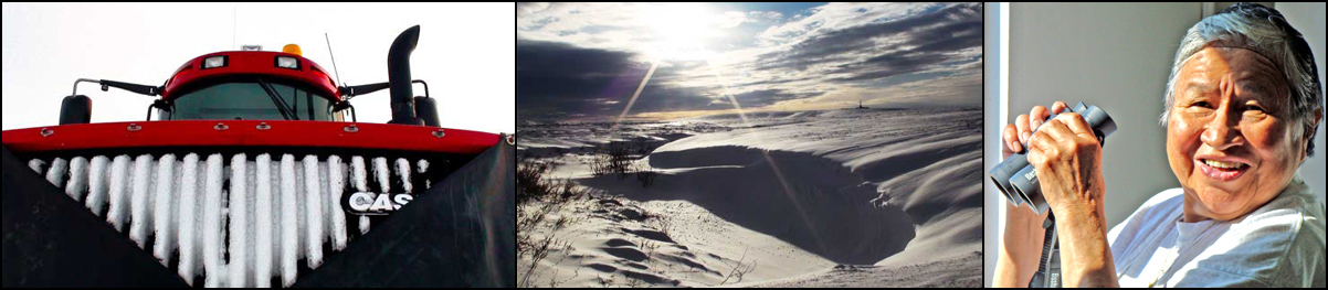 Professional Experience Header